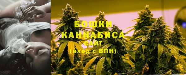 не бодяженный Бородино