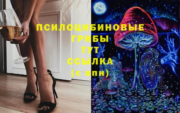 крисы Богданович