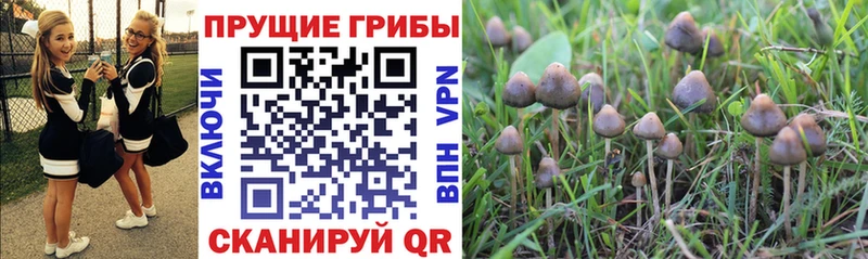 blacksprut рабочий сайт  Кондрово  Галлюциногенные грибы ЛСД 